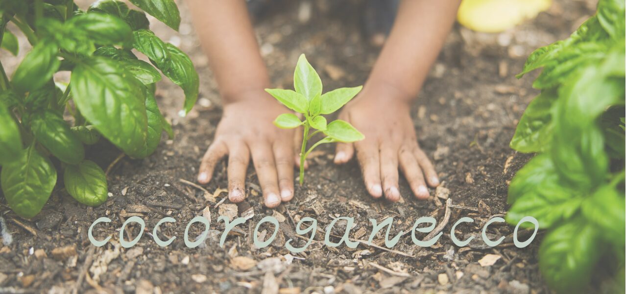 GlowingRoom 絵理根